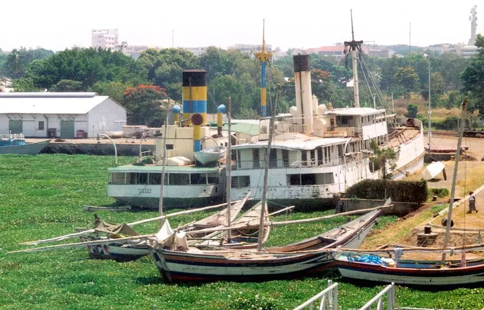 Water hyacinth in Kisumu harbour, Lake Victoria
